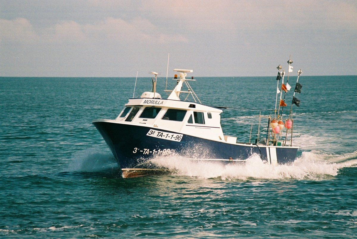 Imagen de Capitol 8 - 2003